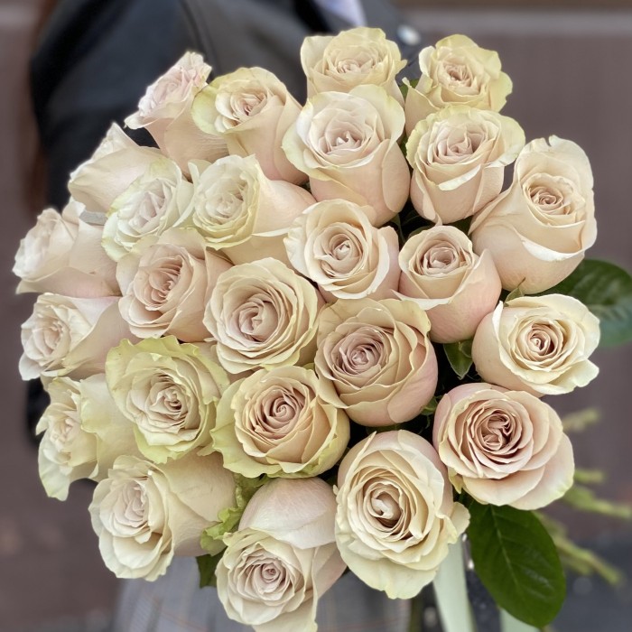 Роза Экспожер